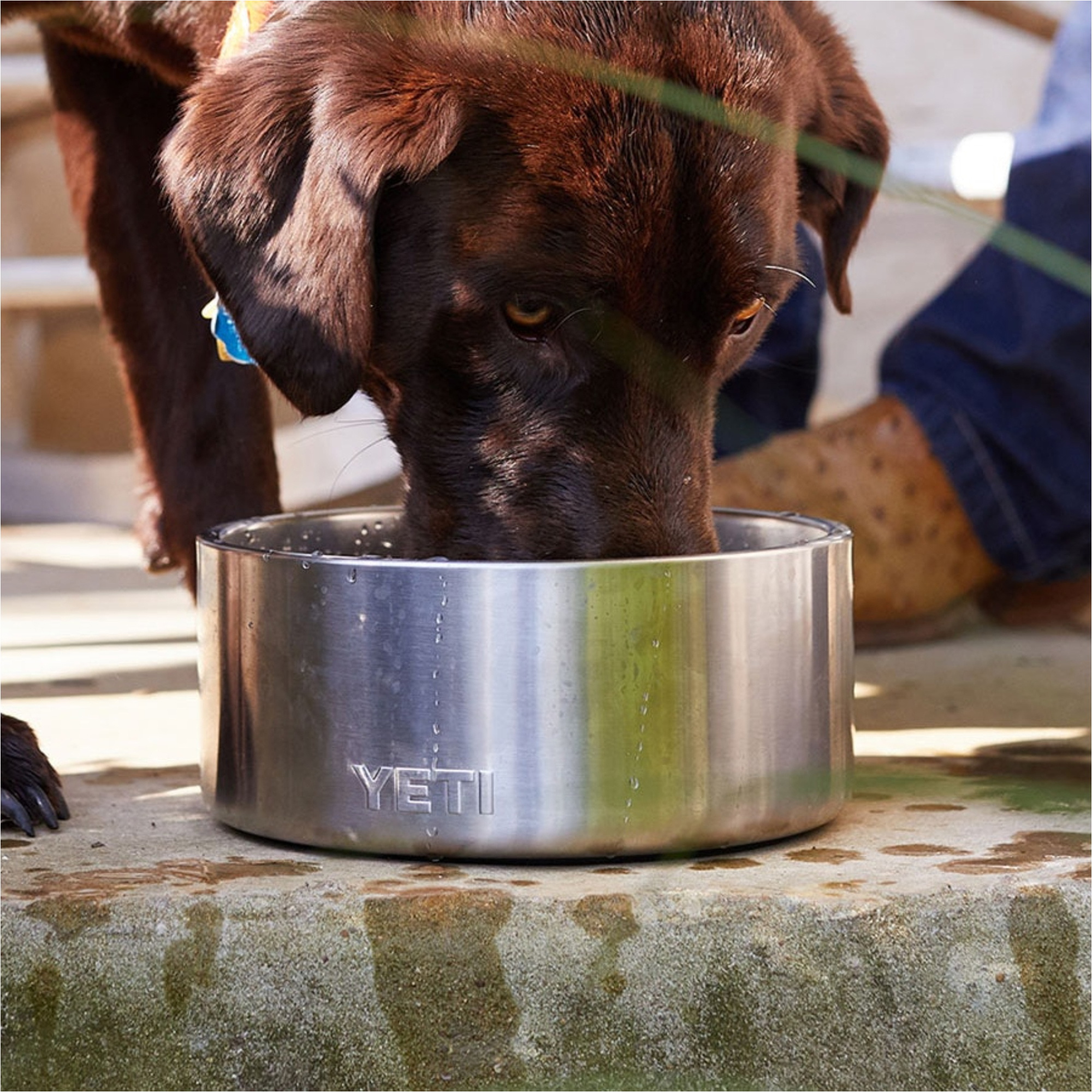2026 YETI Boomer 4 Dog Bowl 70000000236 - Stainless Steel